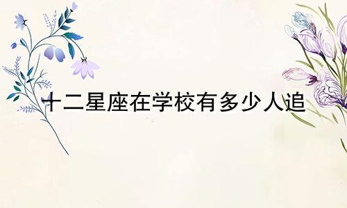 十二星座在学校有多少人追