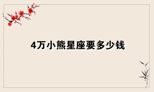 4万小熊星座要多少钱