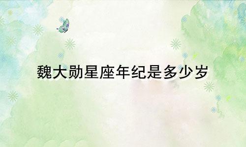 魏大勋星座年纪是多少岁