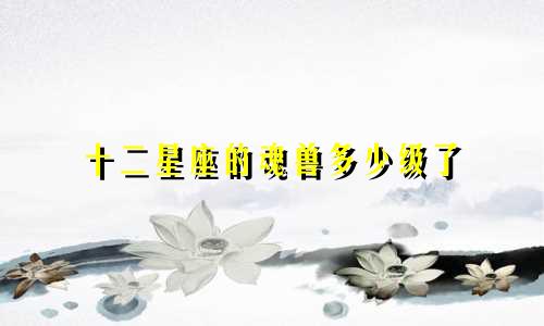 十二星座的魂兽多少级了