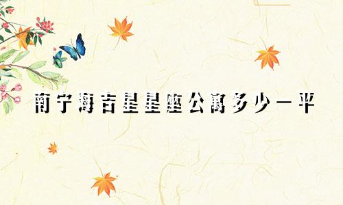 南宁海吉星星座公寓多少一平