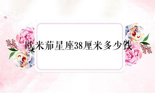 欧米茄星座38厘米多少钱