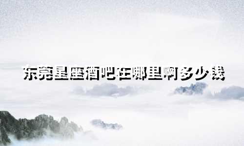 东莞星座酒吧在哪里啊多少钱