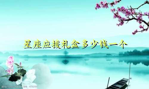 星座应援礼盒多少钱一个