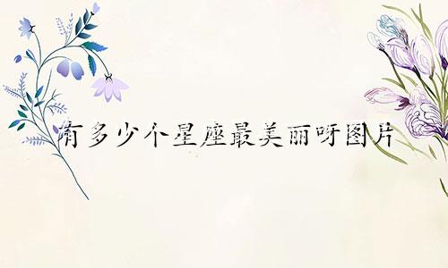 有多少个星座最美丽呀图片