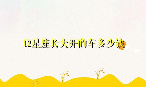 12星座长大开的车多少钱
