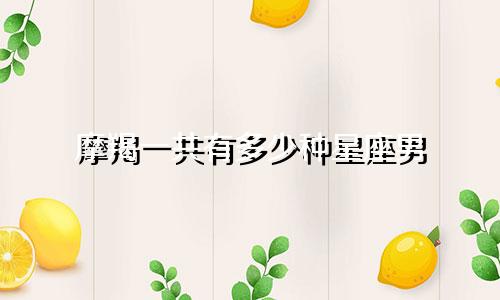 摩羯一共有多少种星座男