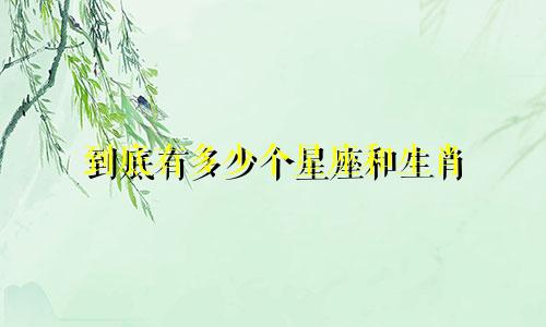 到底有多少个星座和生肖