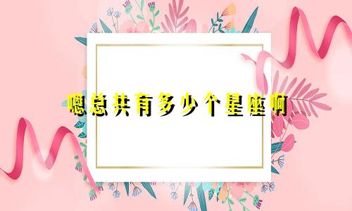 嗯总共有多少个星座啊