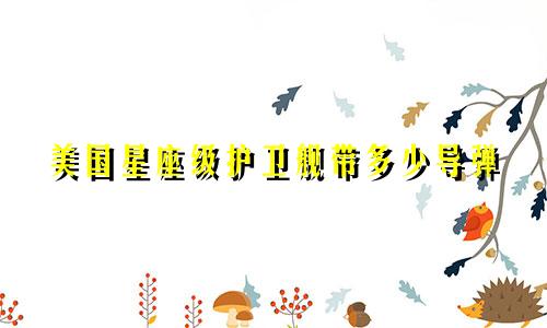 美国星座级护卫舰带多少导弹