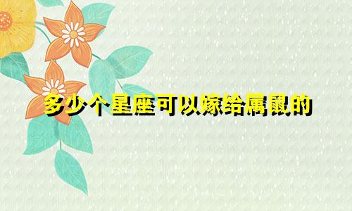 多少个星座可以嫁给属鼠的