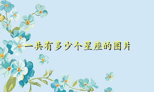 一共有多少个星座的图片