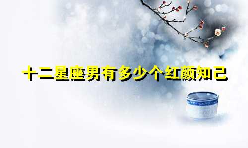 十二星座男有多少个红颜知己