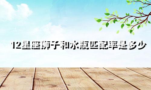 12星座狮子和水瓶匹配率是多少