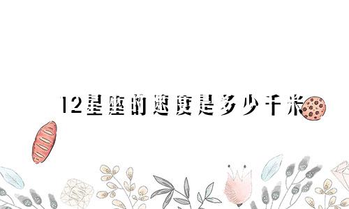 12星座的速度是多少千米