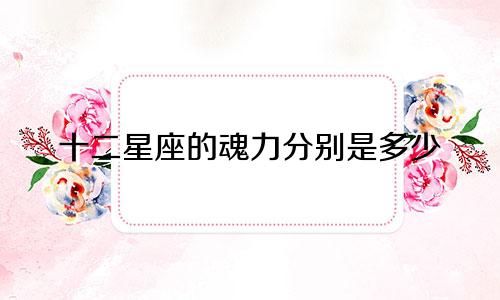 十二星座的魂力分别是多少