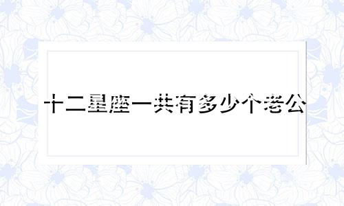 十二星座一共有多少个老公