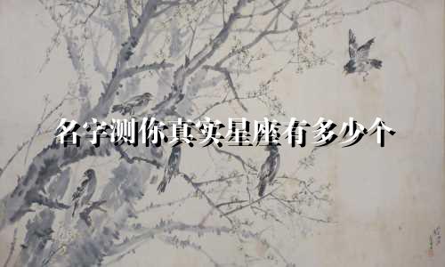 名字测你真实星座有多少个