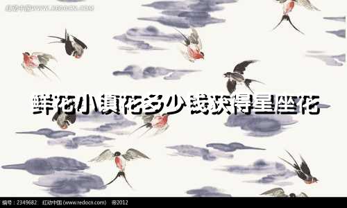 鲜花小镇花多少钱获得星座花