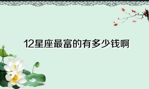 12星座最富的有多少钱啊
