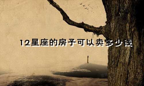 12星座的房子可以卖多少钱
