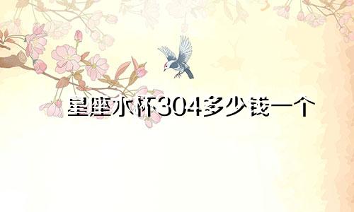 星座水杯304多少钱一个