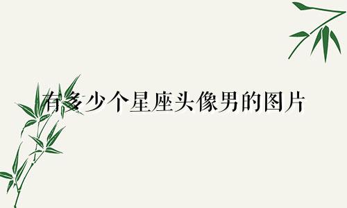 有多少个星座头像男的图片