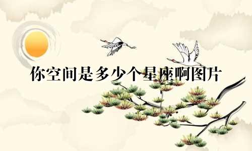 你空间是多少个星座啊图片