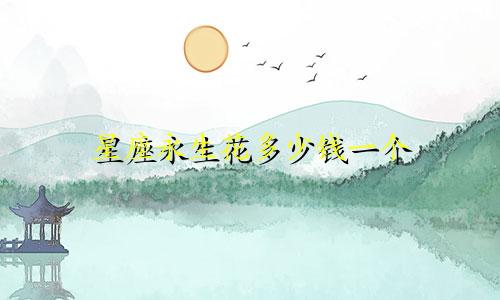 星座永生花多少钱一个
