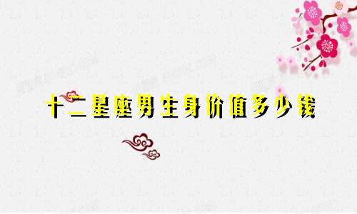 十二星座男生身价值多少钱