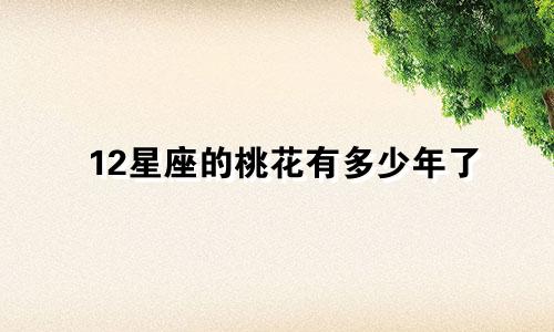 12星座的桃花有多少年了