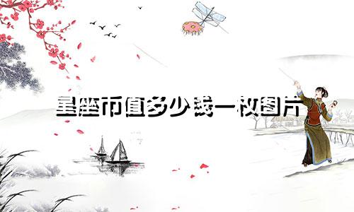 星座币值多少钱一枚图片