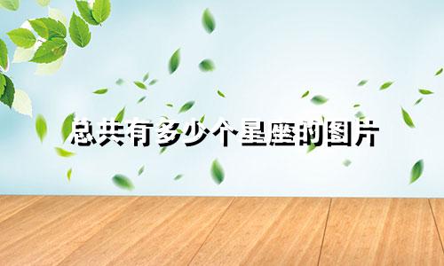 总共有多少个星座的图片