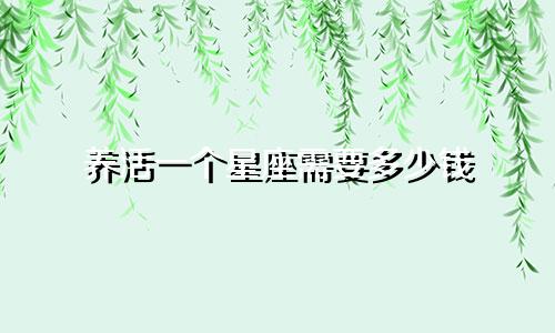 养活一个星座需要多少钱