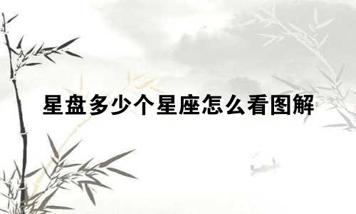 星盘多少个星座怎么看图解