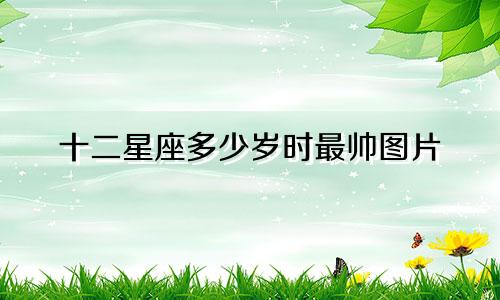 十二星座多少岁时最帅图片