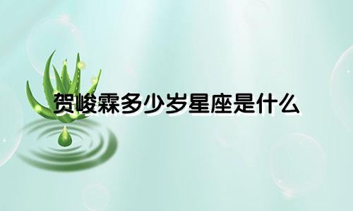 贺峻霖多少岁星座是什么