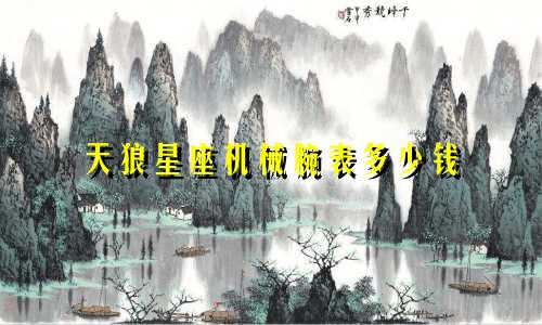 天狼星座机械腕表多少钱