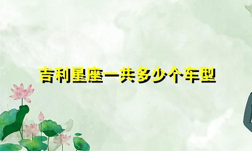 吉利星座一共多少个车型