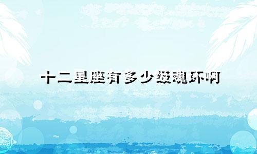 十二星座有多少级魂环啊