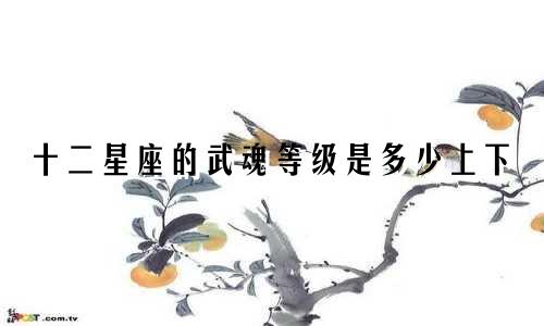 十二星座的武魂等级是多少上下