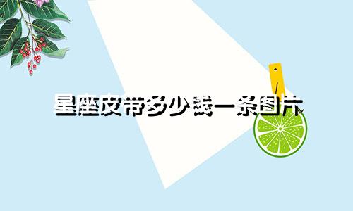星座皮带多少钱一条图片