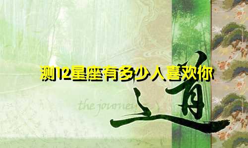 测12星座有多少人喜欢你