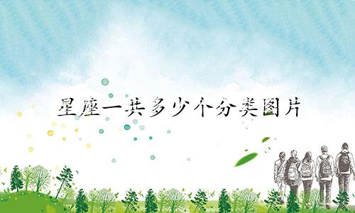 星座一共多少个分类图片