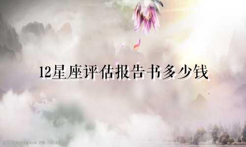 12星座评估报告书多少钱