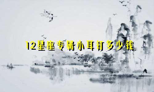 12星座专属小耳钉多少钱