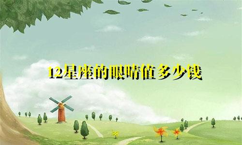 12星座的眼晴值多少钱