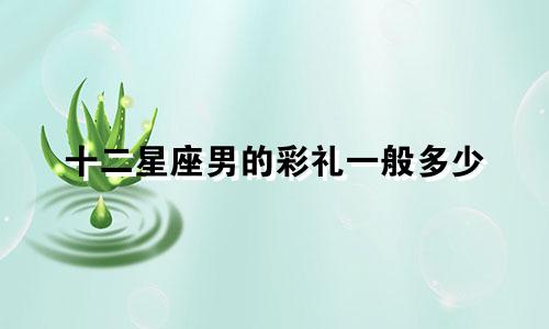 十二星座男的彩礼一般多少
