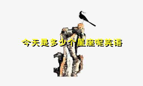 今天是多少个星座呢英语