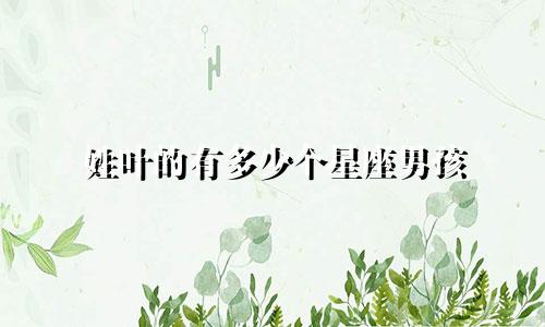 姓叶的有多少个星座男孩